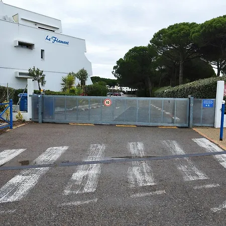 Petit Cocon Baigne De Lumiere דירה *